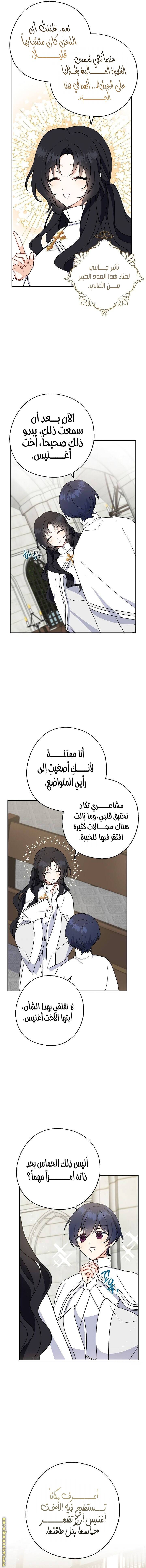 الصفحة 13