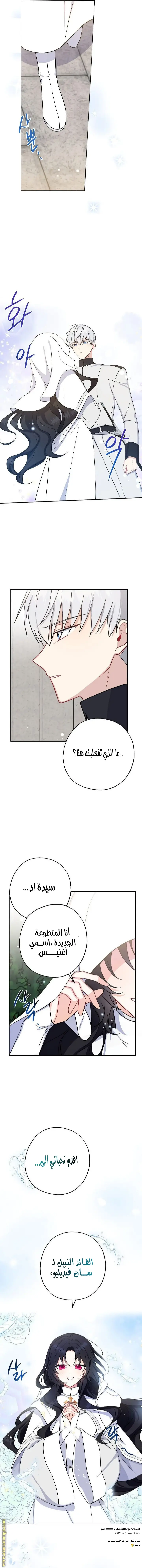 الصفحة 13