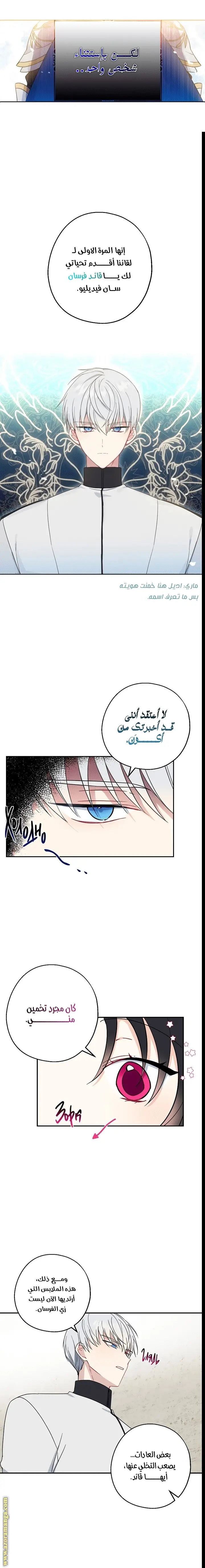 الصفحة 6