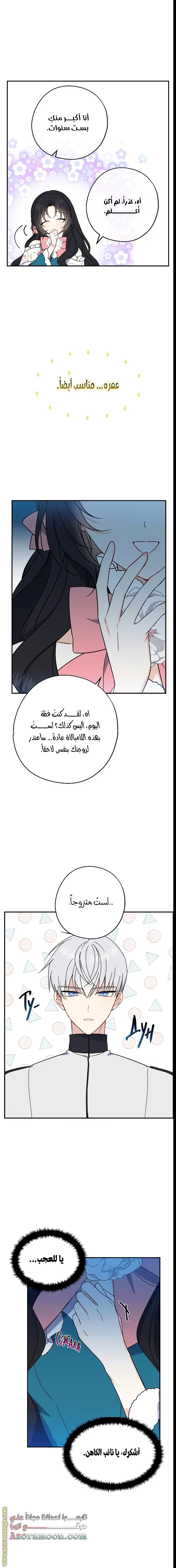الصفحة 13