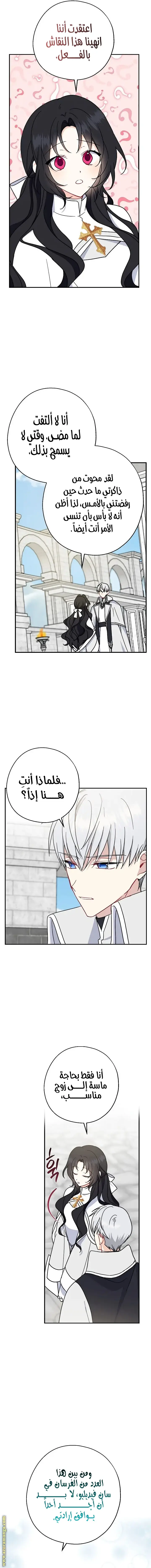 الصفحة 13