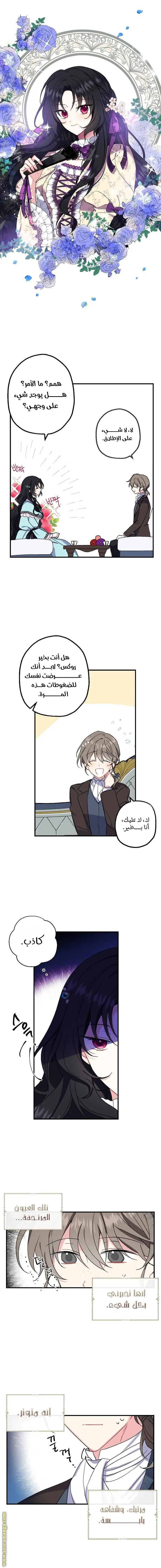 الصفحة 5