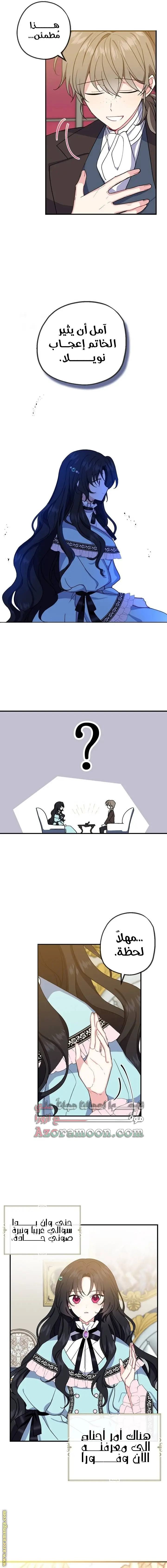 الصفحة 13