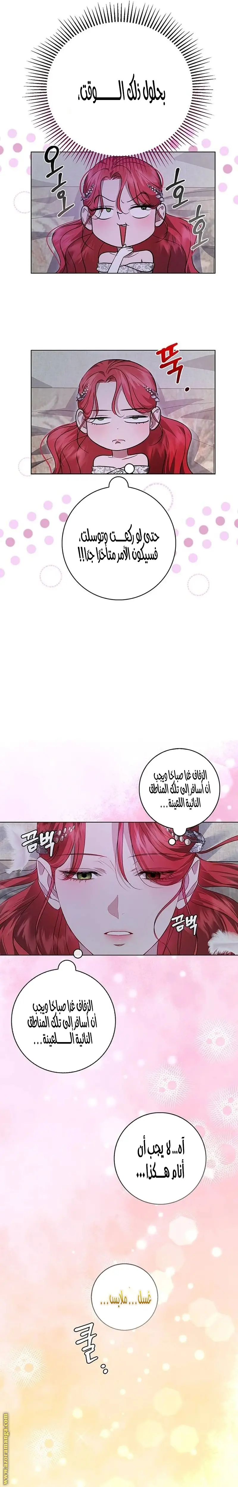الصفحة 13