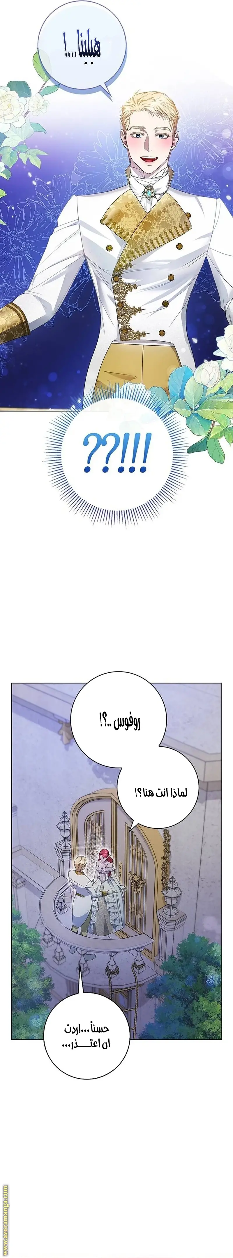 الصفحة 17