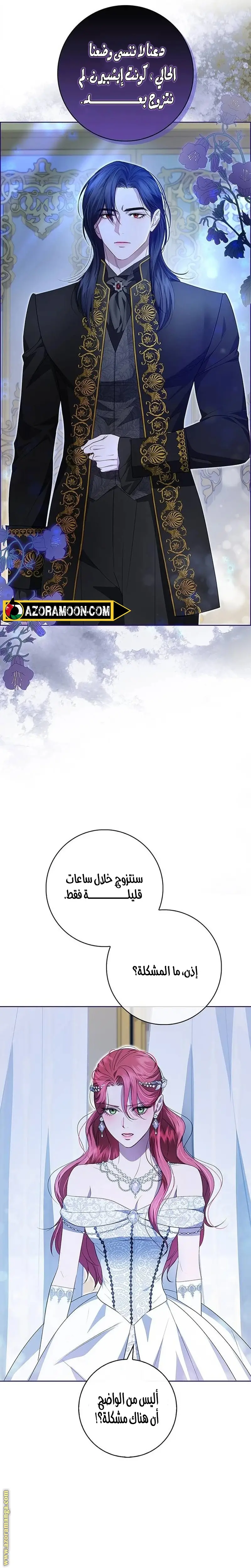 الصفحة 28