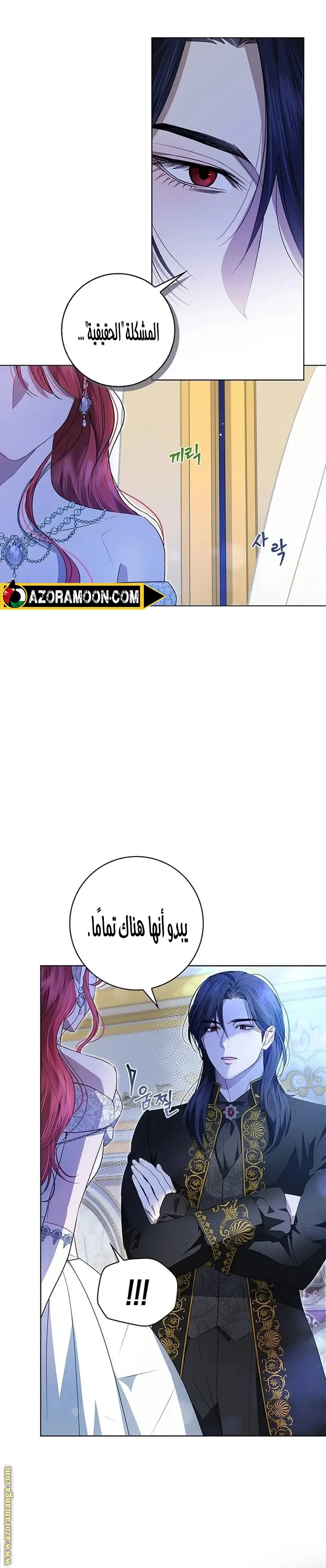 الصفحة 29