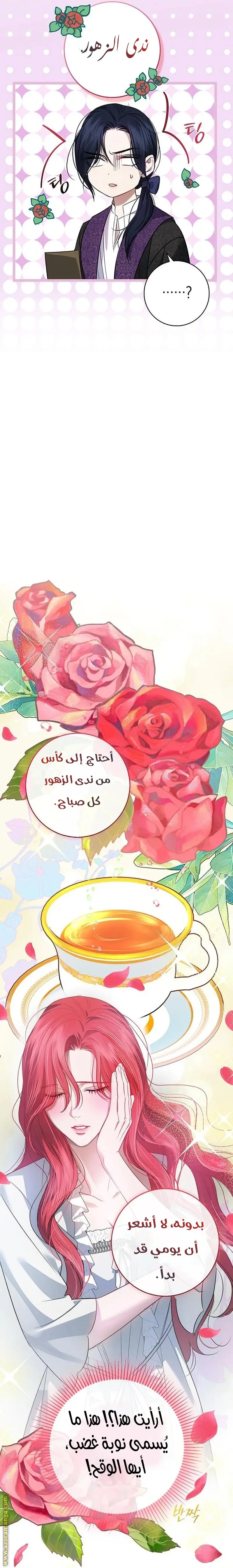 الصفحة 13