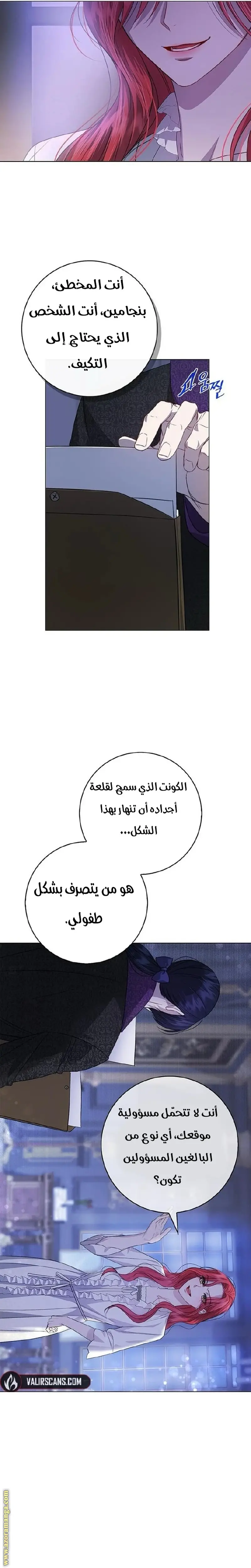 الصفحة 17