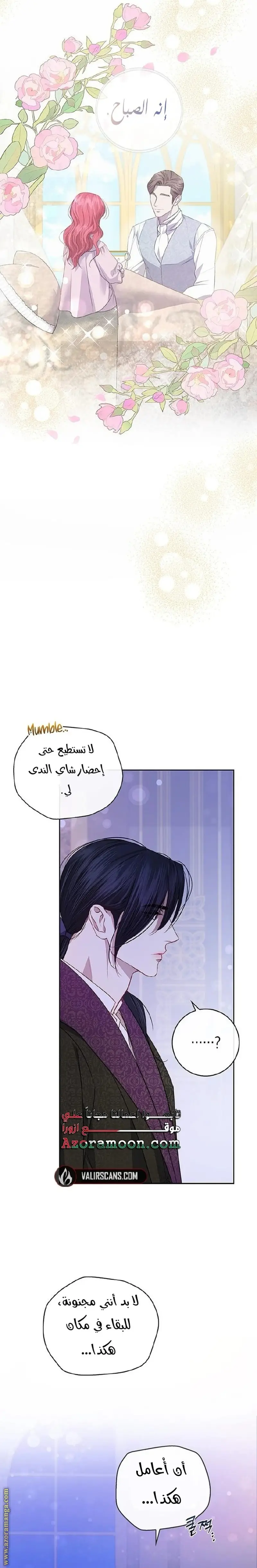 الصفحة 27