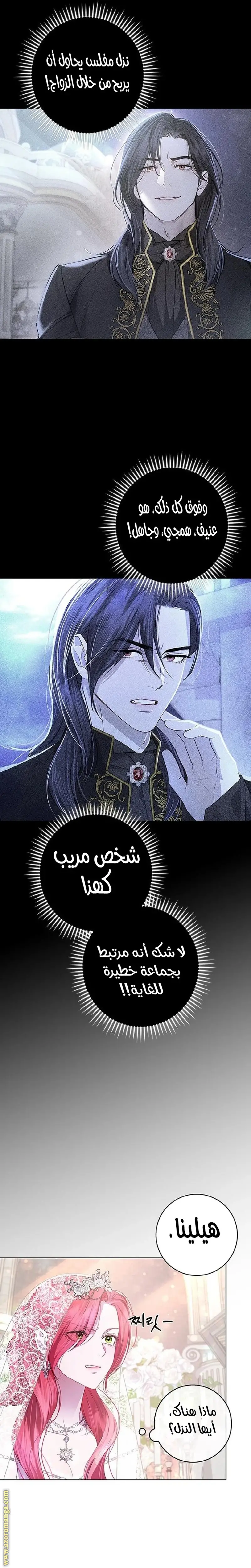 الصفحة 17