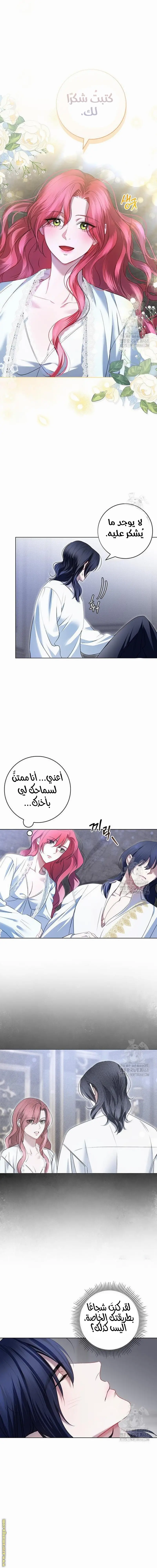الصفحة 13