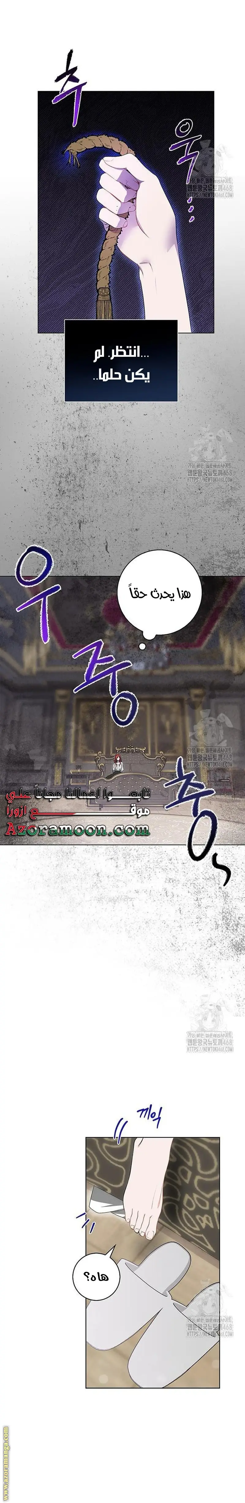 الصفحة 13