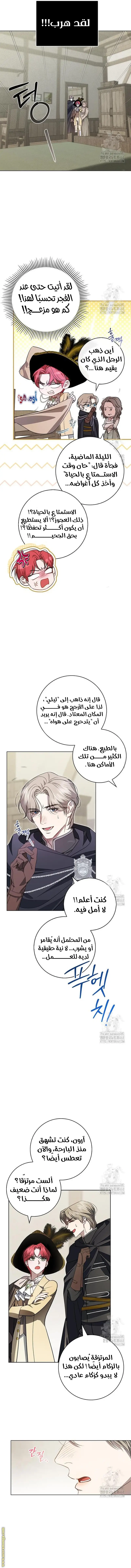 الصفحة 10
