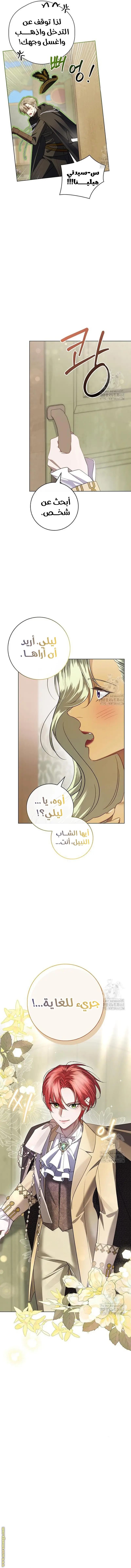 الصفحة 13
