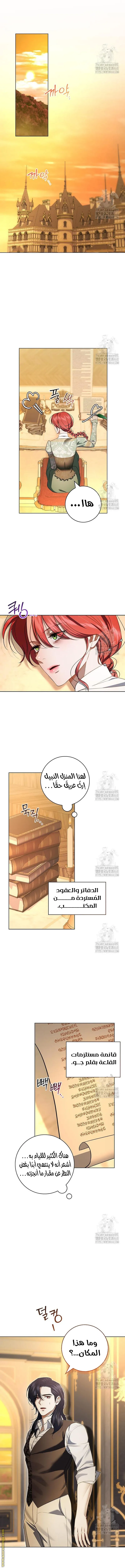 الصفحة 5