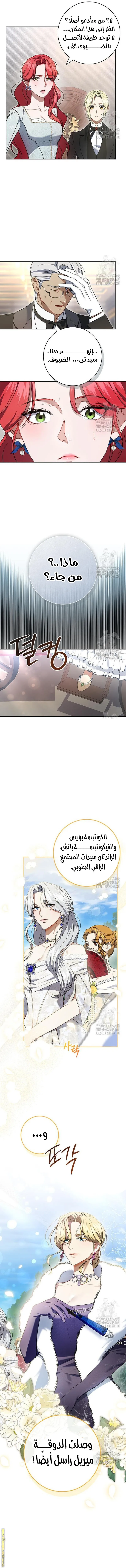 الصفحة 13