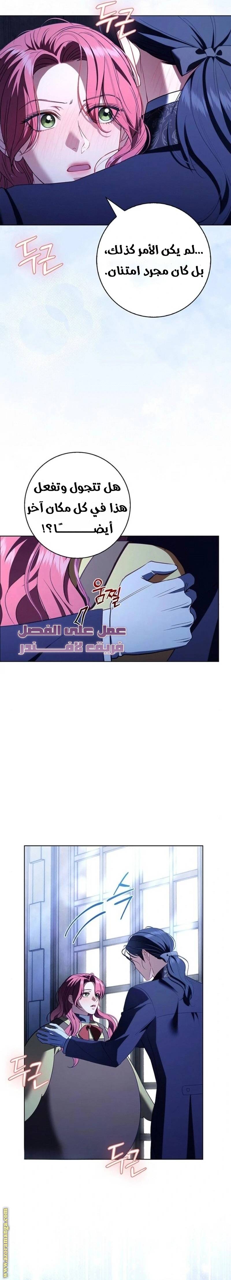 الصفحة 25