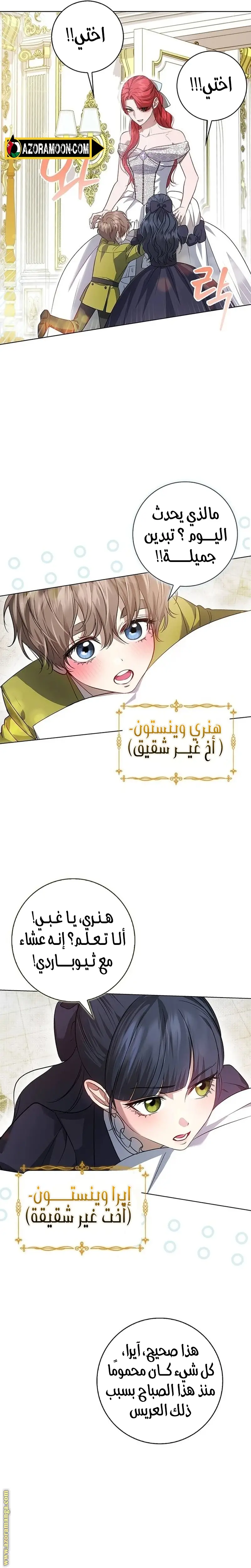 الصفحة 13
