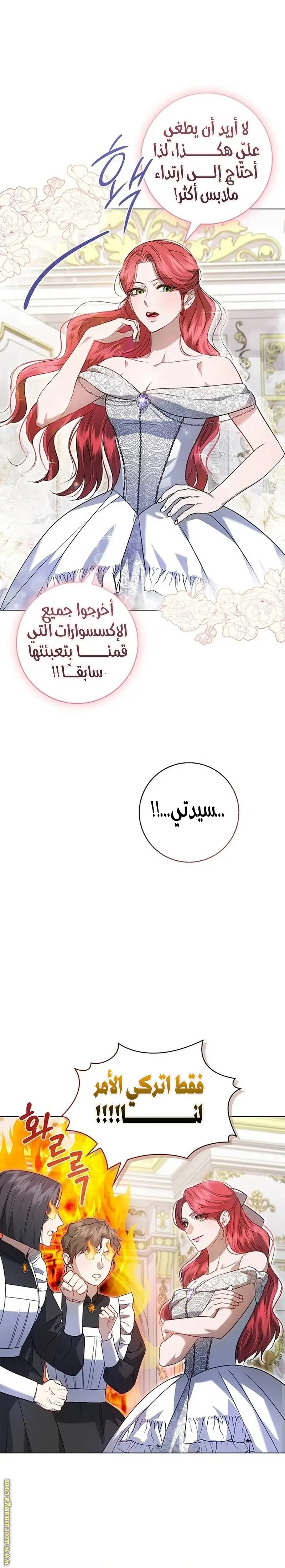 الصفحة 20