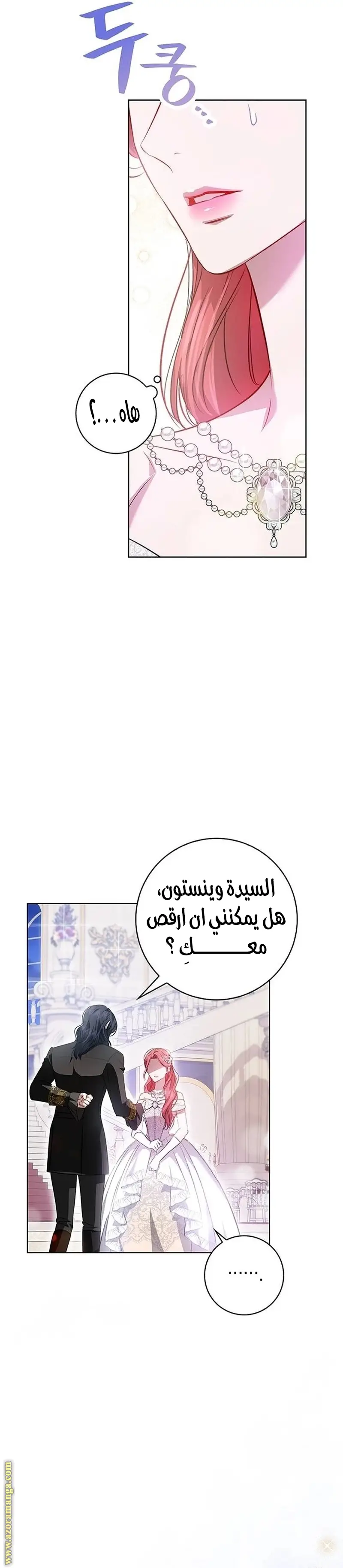 الصفحة 27
