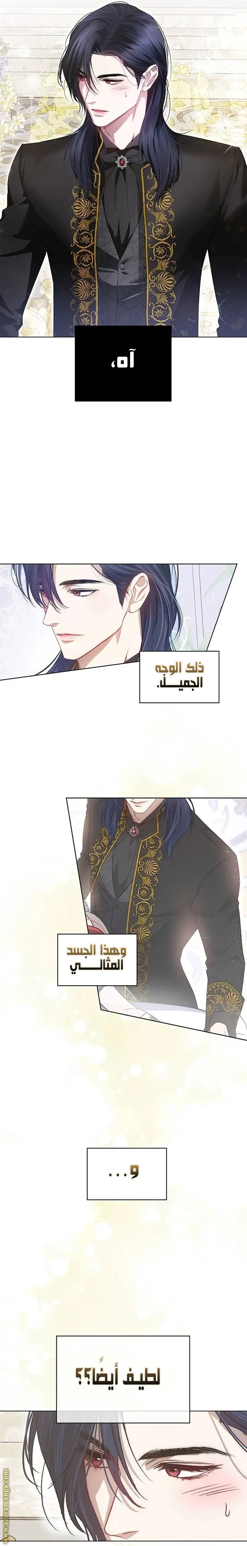 الصفحة 31