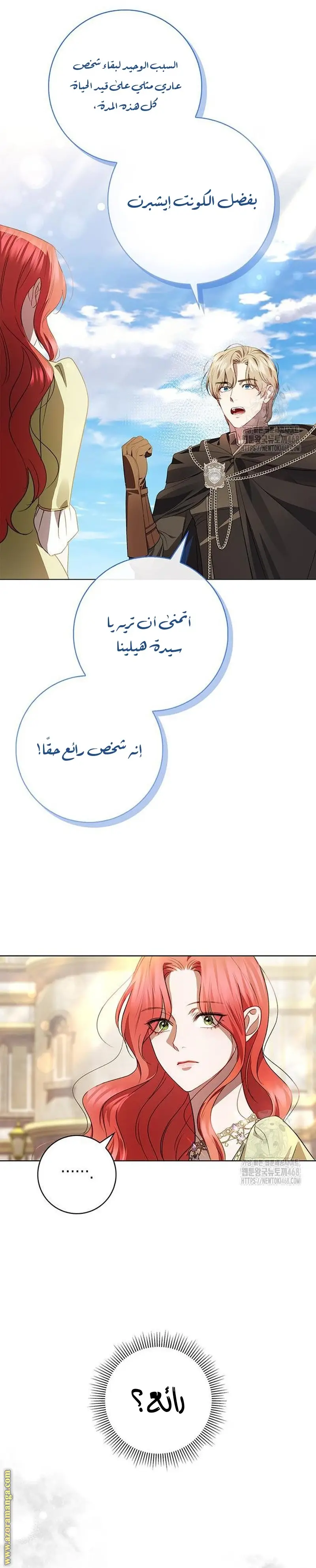 الصفحة 25