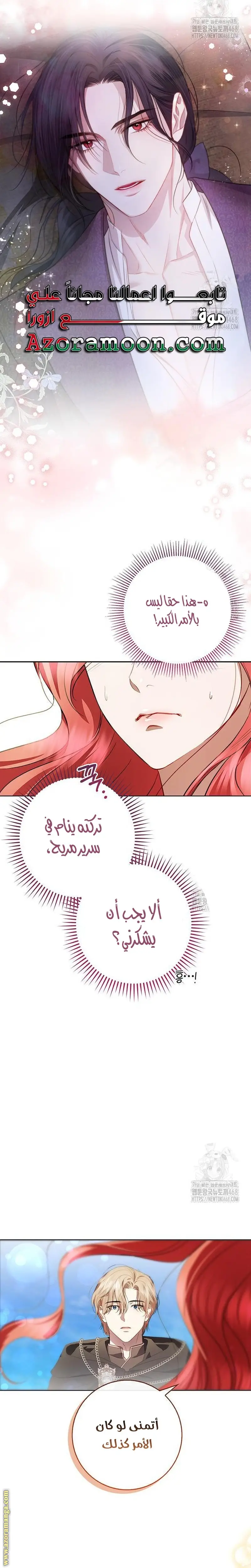 الصفحة 27