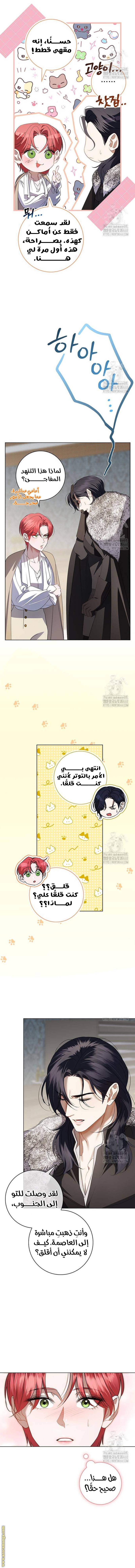 الصفحة 5