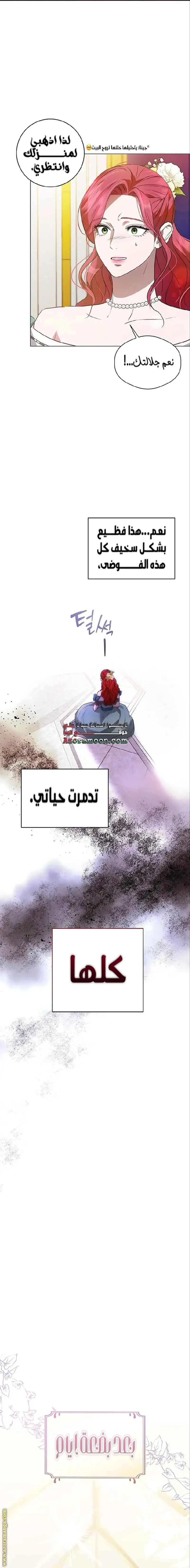 الصفحة 15