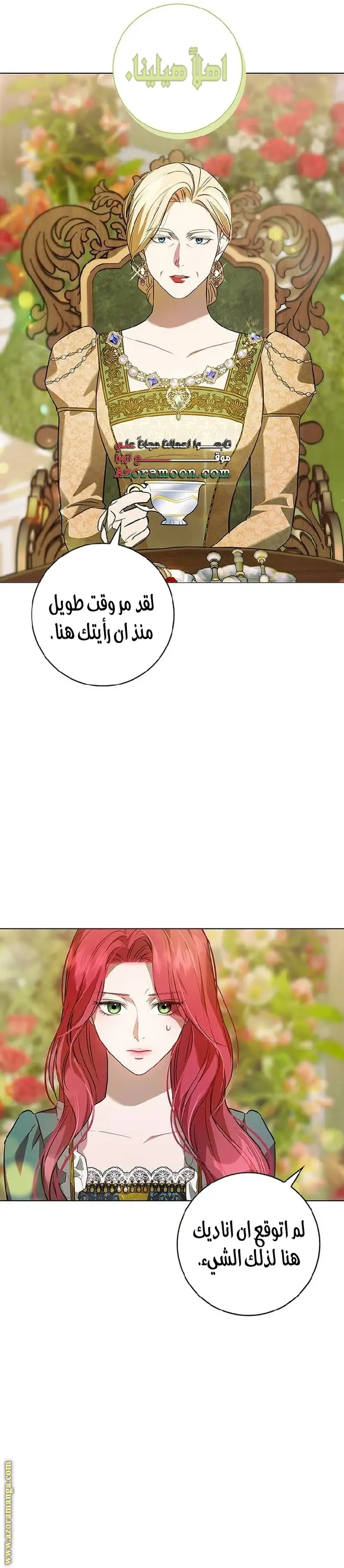 الصفحة 17
