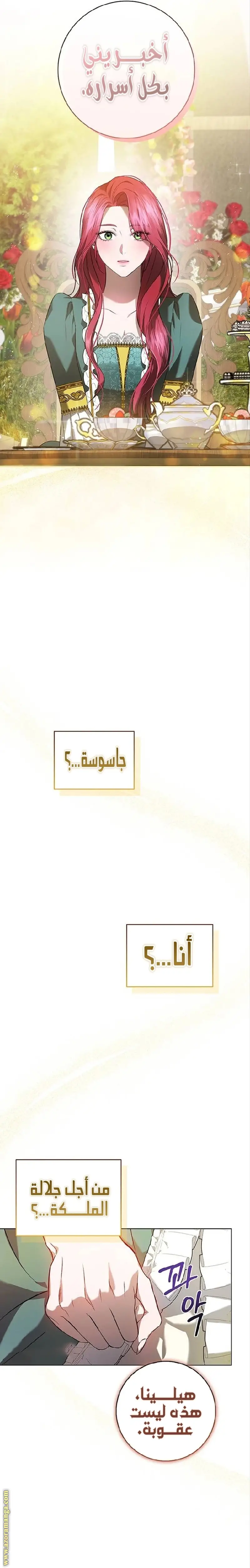 الصفحة 24