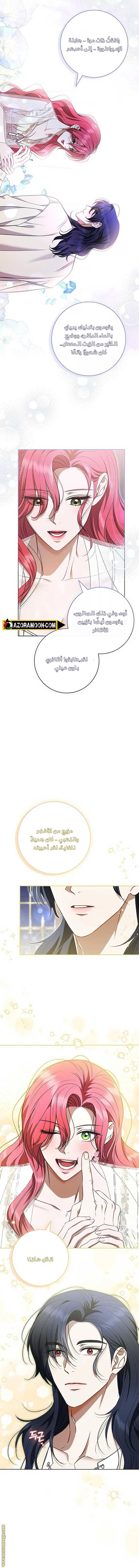 الصفحة 11