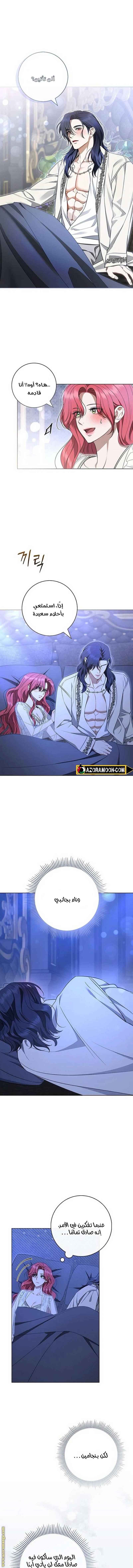 الصفحة 14
