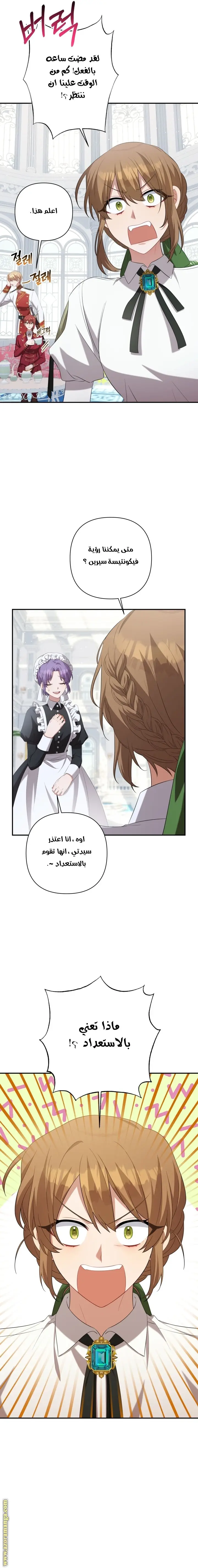 الصفحة 21