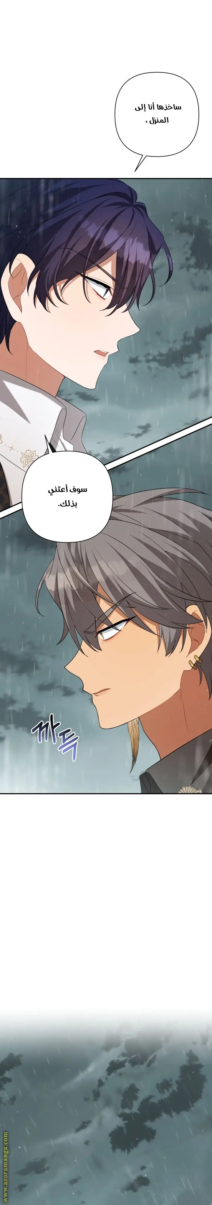 الصفحة 27
