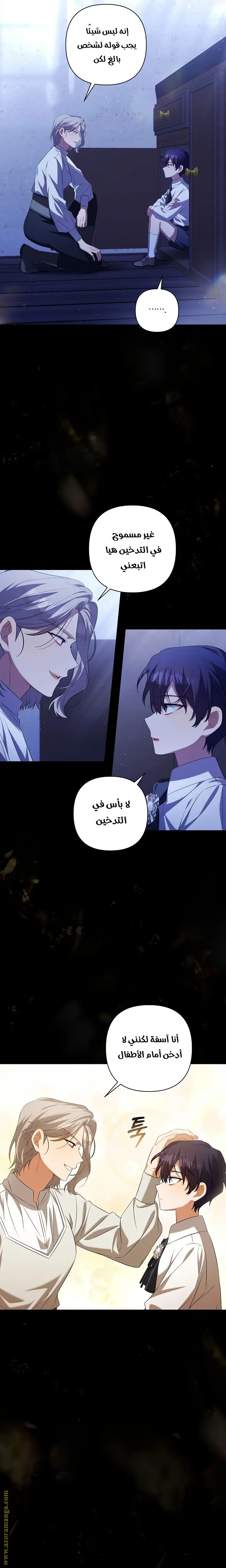 الصفحة 17