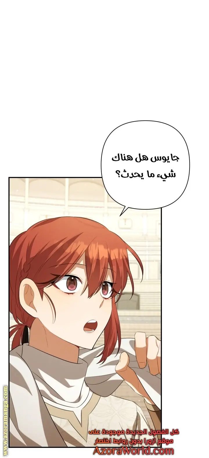 الصفحة 17
