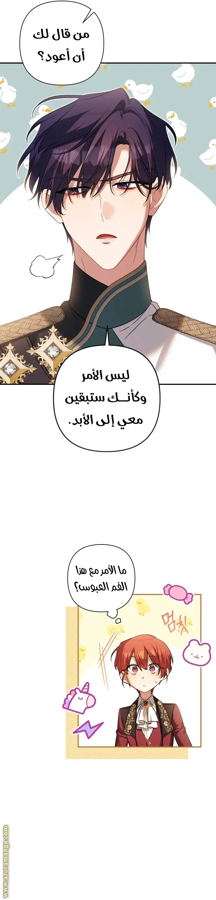الصفحة 11