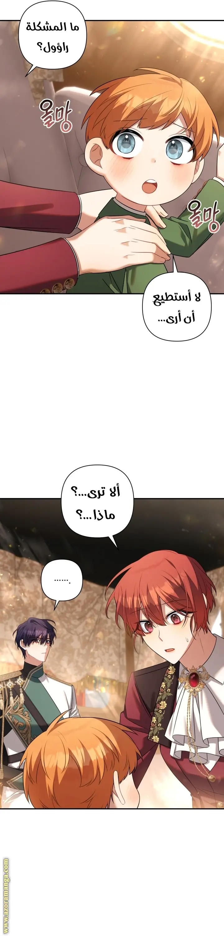 الصفحة 17