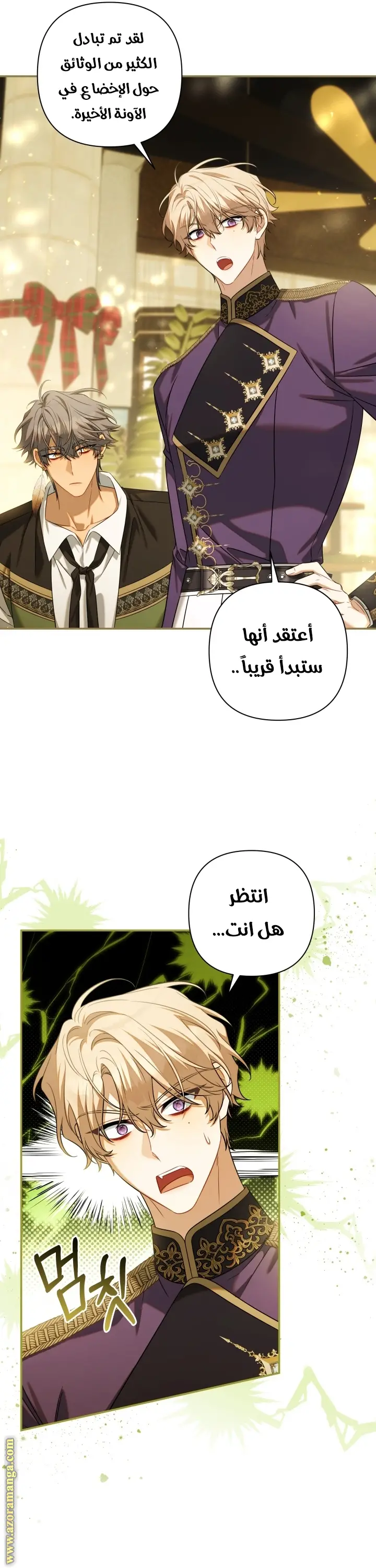 الصفحة 12