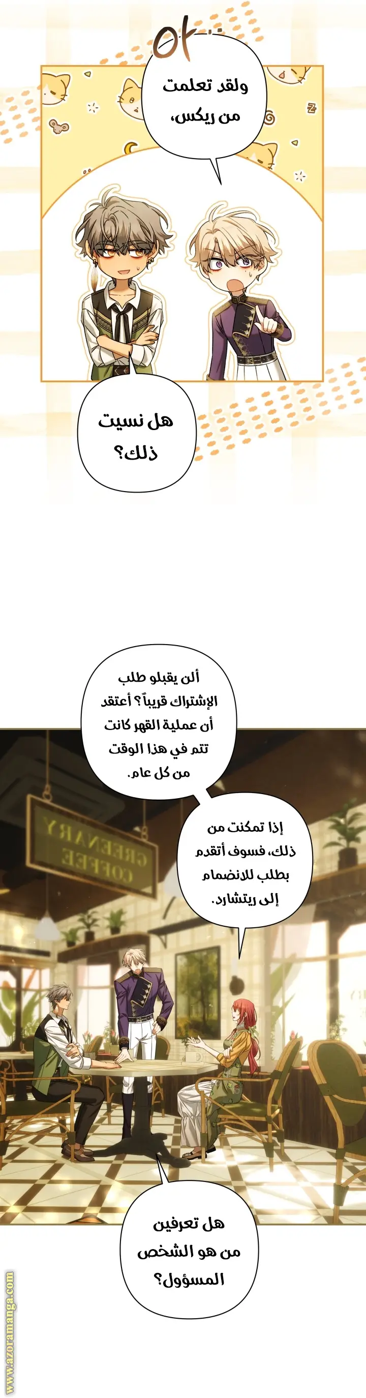 الصفحة 17