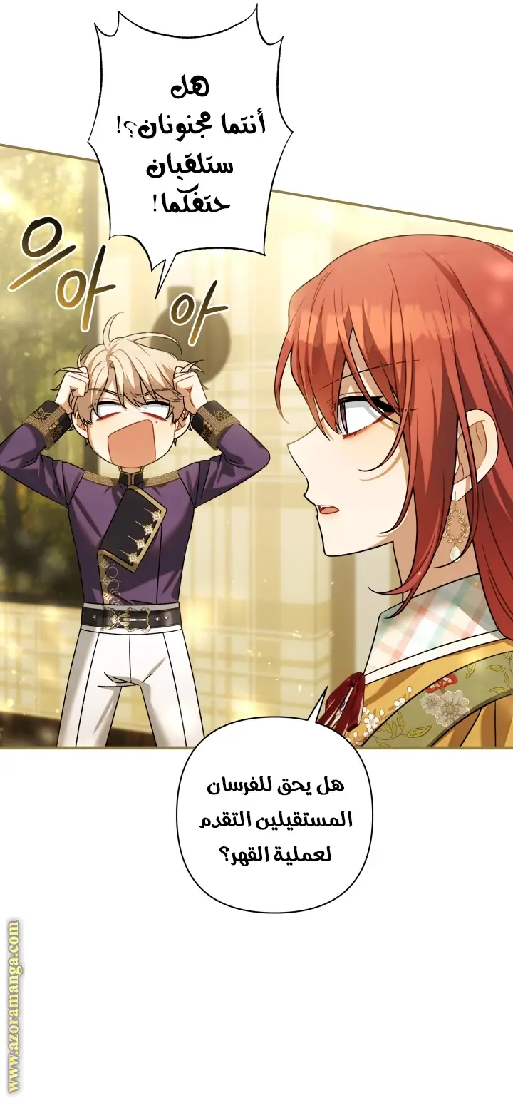 الصفحة 20