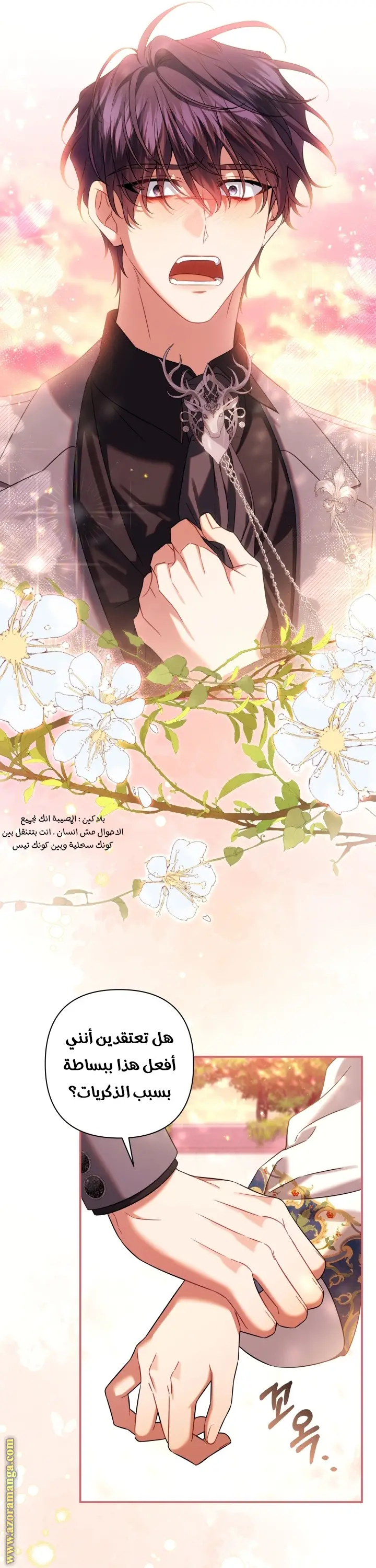 الصفحة 11