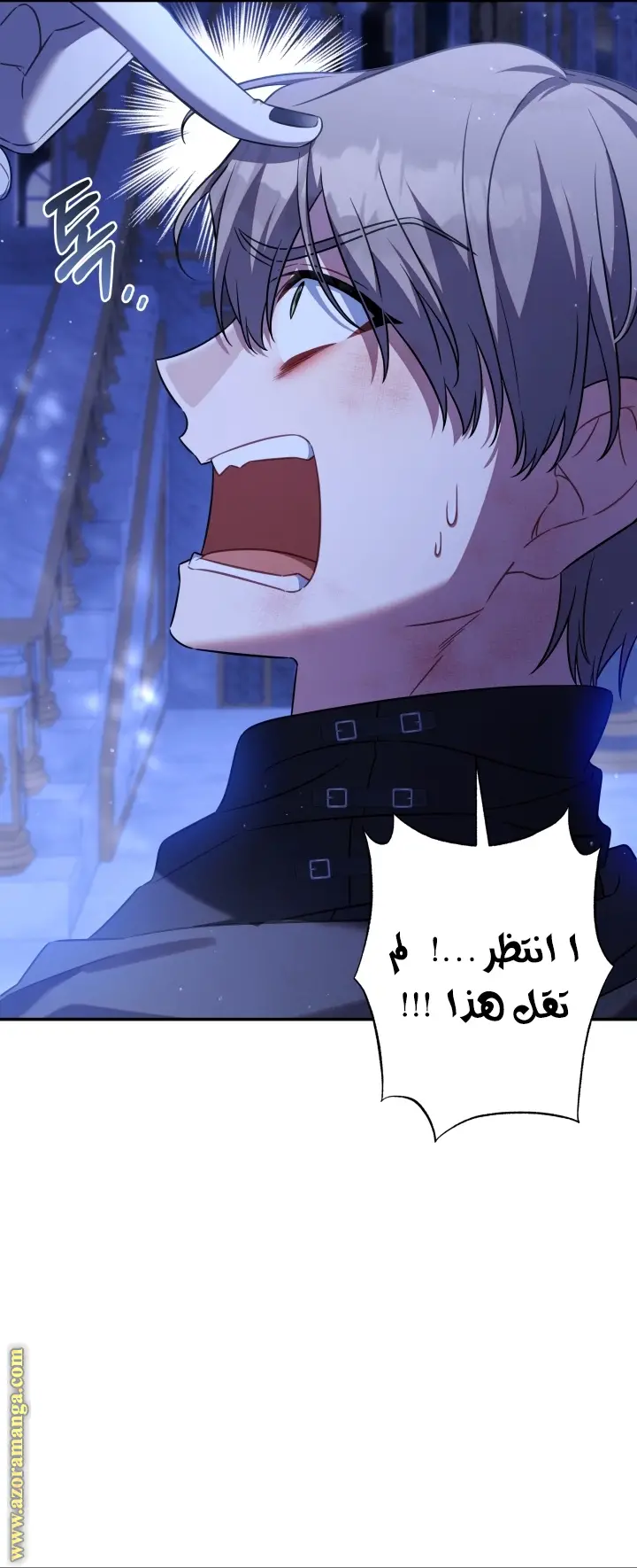 الصفحة 36