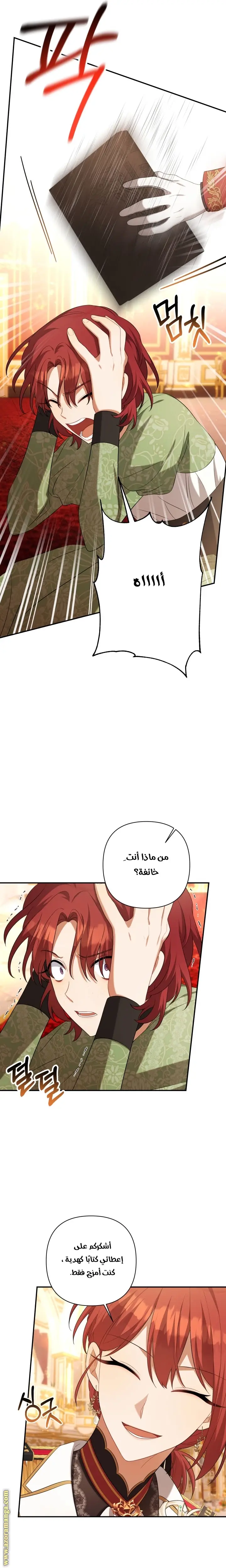 الصفحة 24