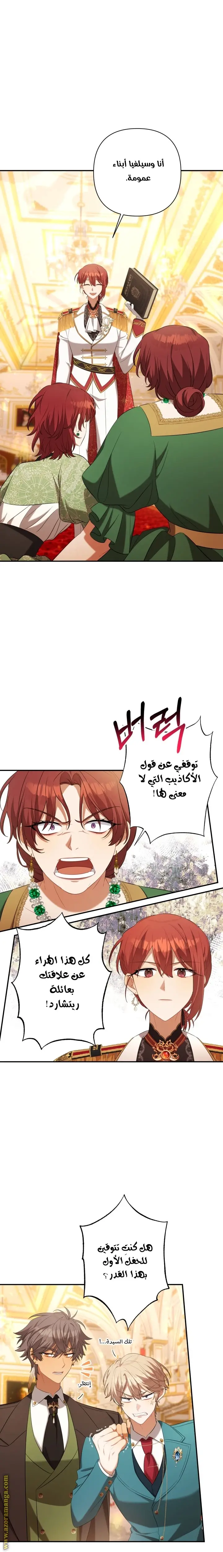 الصفحة 25