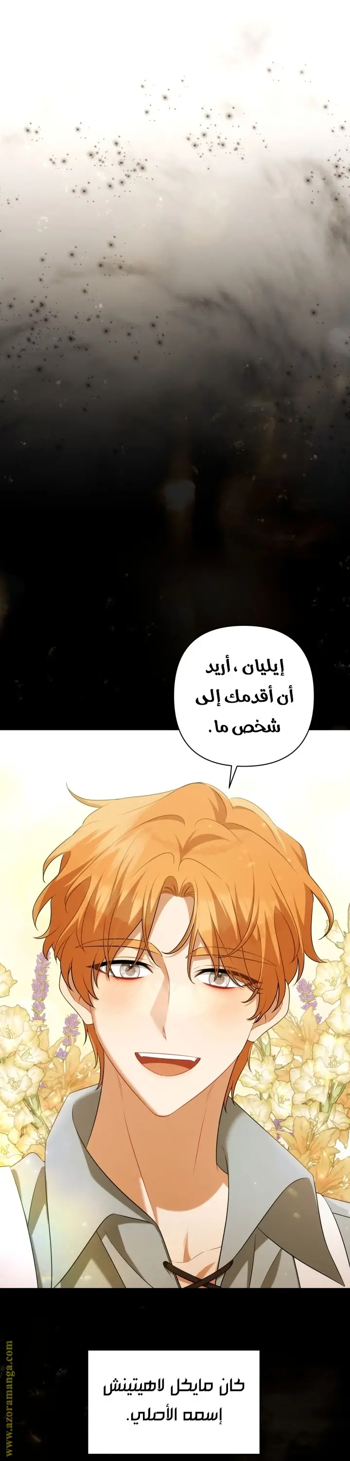 الصفحة 27