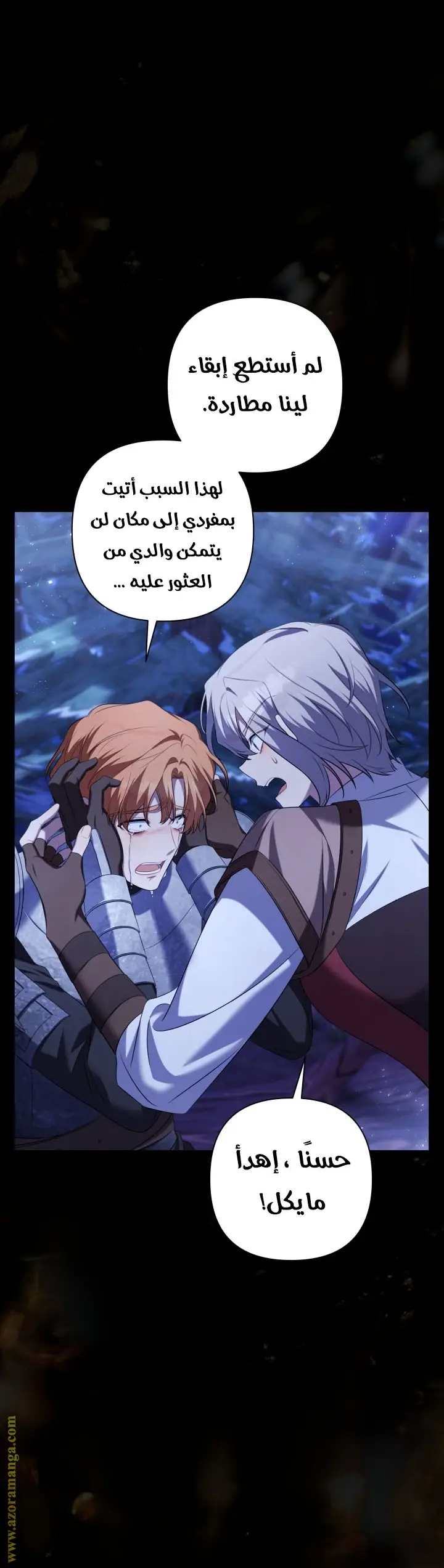 الصفحة 40