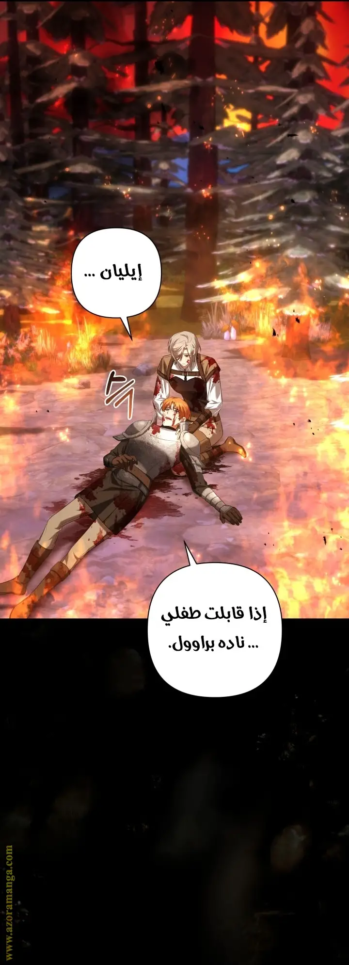 الصفحة 46